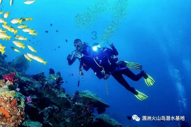 机智问答网页-帮你解决问题,体验智能问答服务-扇贝是开锅煮还是凉水下锅重要的选择
